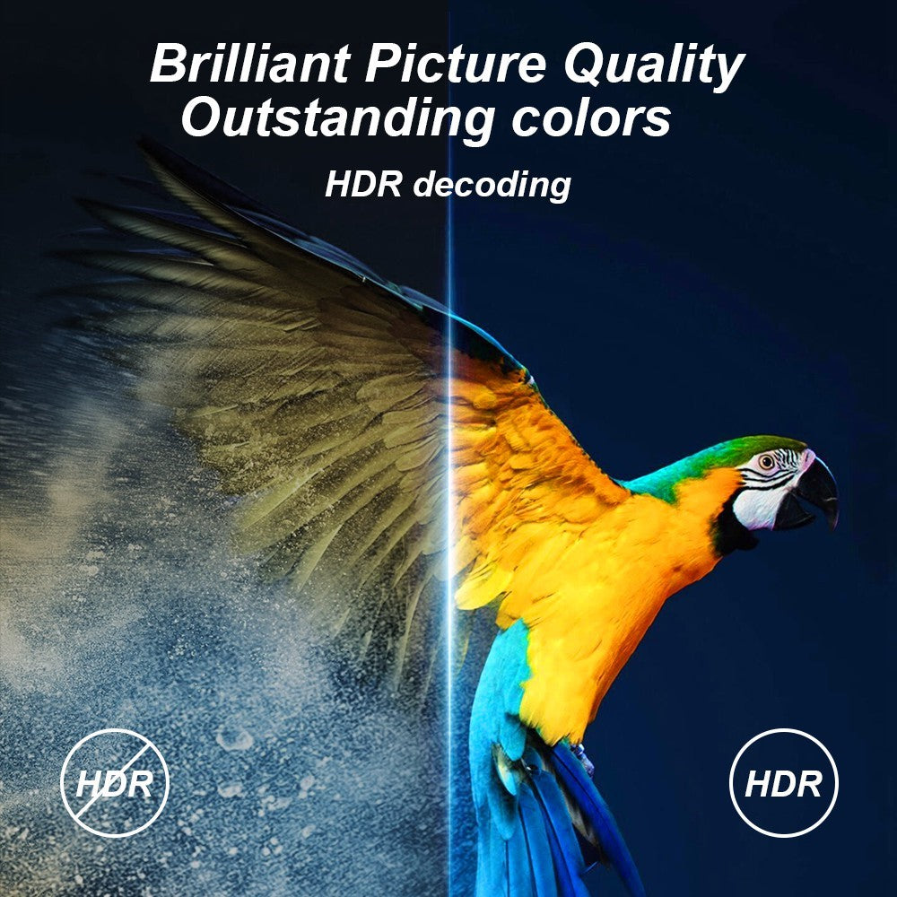 H20 Pro 2+8GB Quad Core CPU H313 TV Box Dual Band WiFi 4K Ultra HD Player