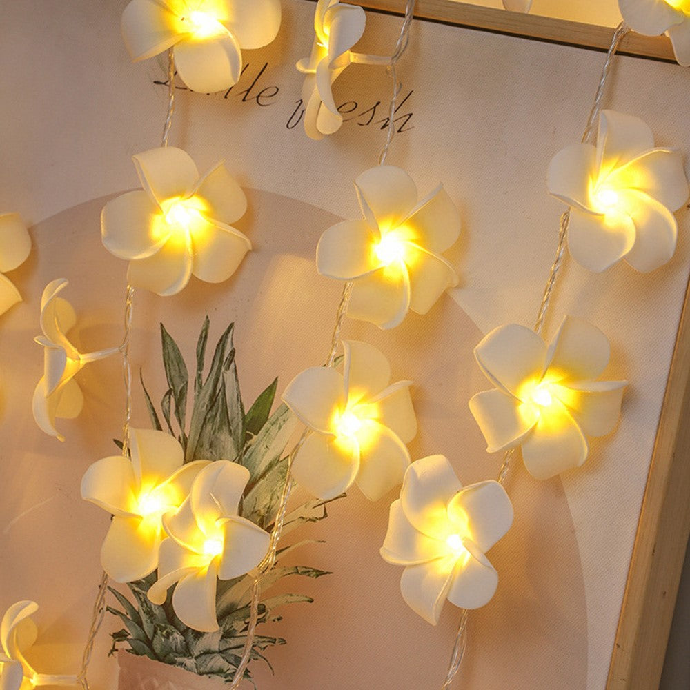 3m 20 Warm White Plumeria LED Flower String Lights USB Powered Fairy String Lights for Room Decoration Indoor Outdoor