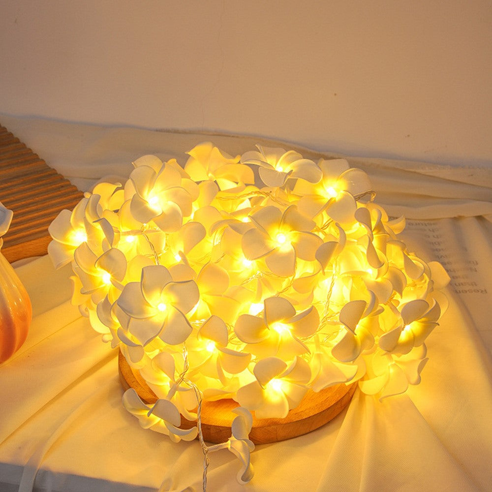6m 40 Warm White Plumeria LED Flower String Lights USB Powered Fairy String Lights for Room Decoration Indoor Outdoor