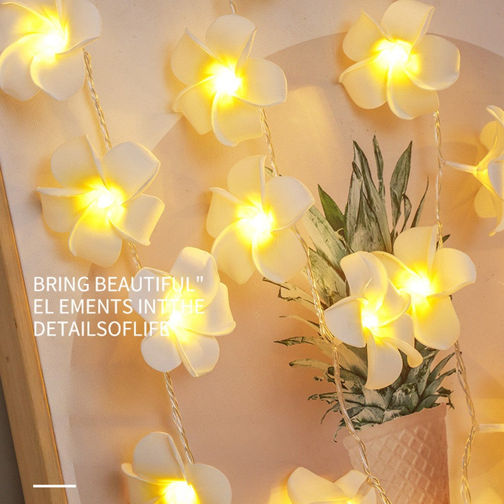 6m 40 Warm White Plumeria LED Flower String Lights USB Powered Fairy String Lights for Room Decoration Indoor Outdoor