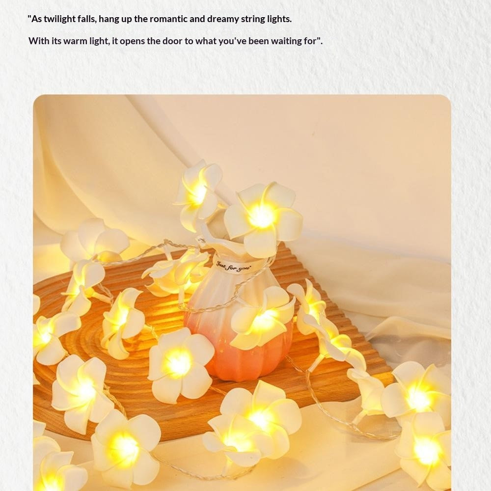 6m 40 Warm White Plumeria LED Flower String Lights USB Powered Fairy String Lights for Room Decoration Indoor Outdoor