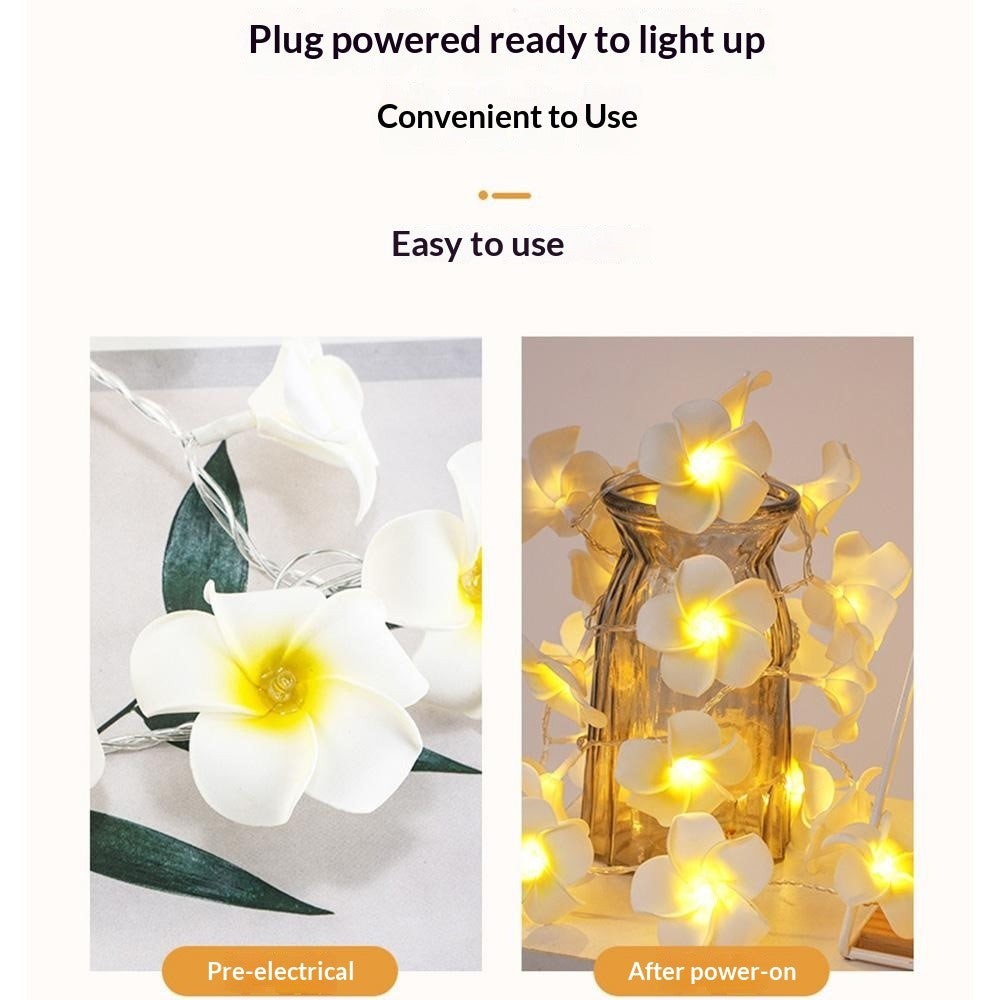 6m 40 Warm White Plumeria LED Flower String Lights USB Powered Fairy String Lights for Room Decoration Indoor Outdoor