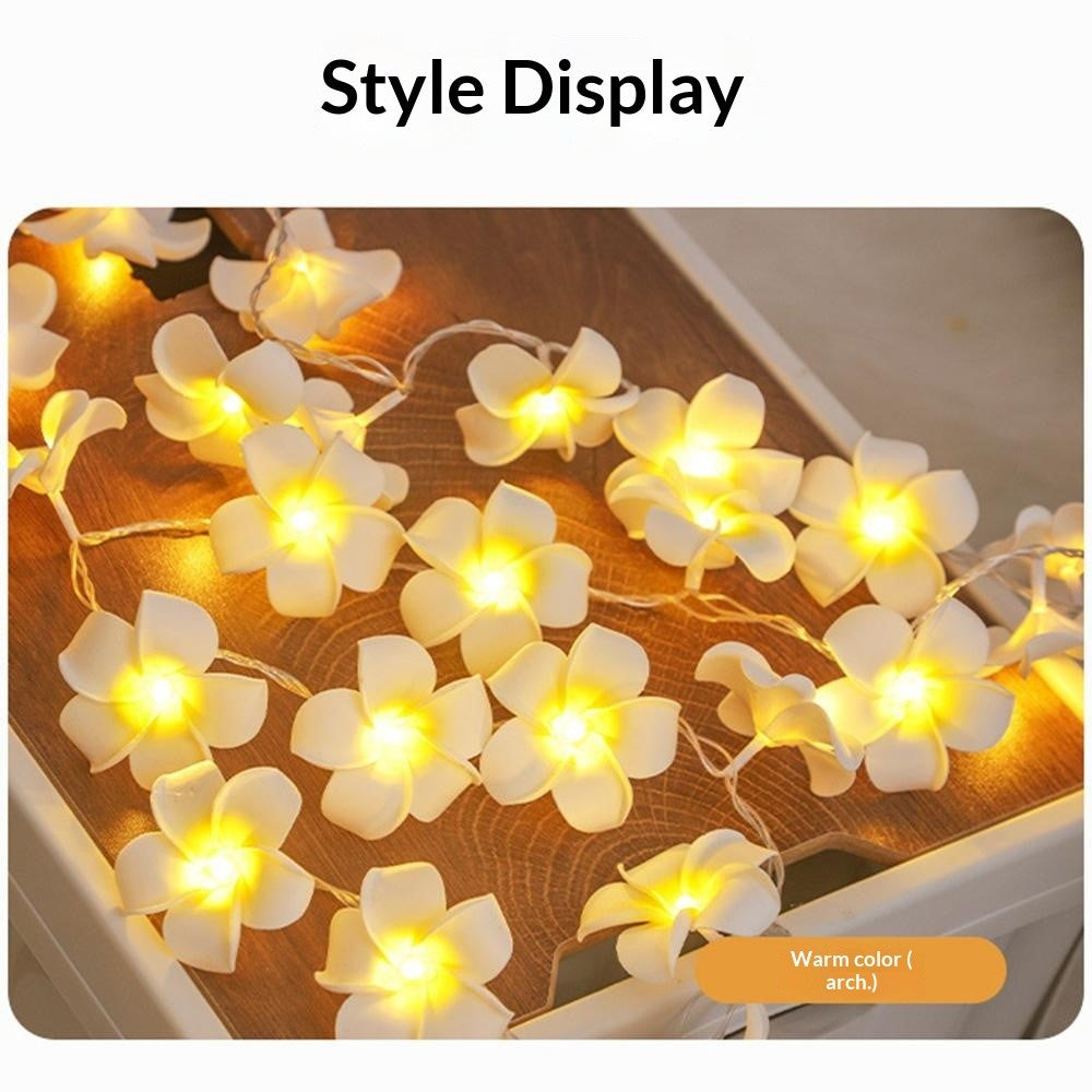 6m 40 Warm White Plumeria LED Flower String Lights USB Powered Fairy String Lights for Room Decoration Indoor Outdoor