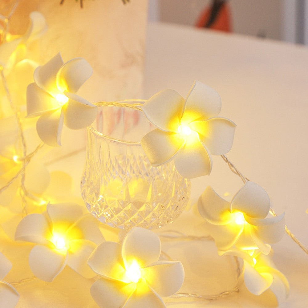 6m 40 Warm White Plumeria LED Flower String Lights USB Powered Fairy String Lights for Room Decoration Indoor Outdoor
