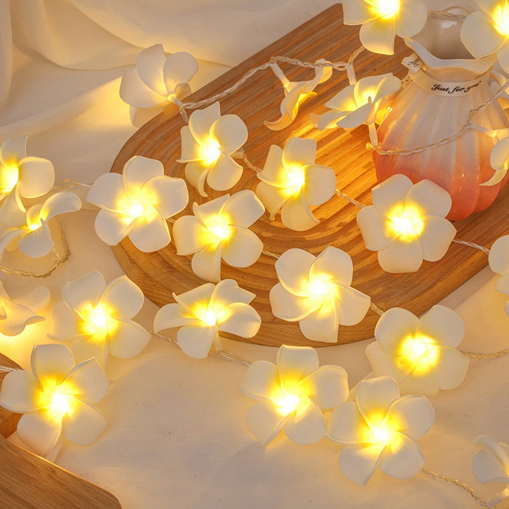 6m 40 Warm White Plumeria LED Flower String Lights USB Powered Fairy String Lights for Room Decoration Indoor Outdoor