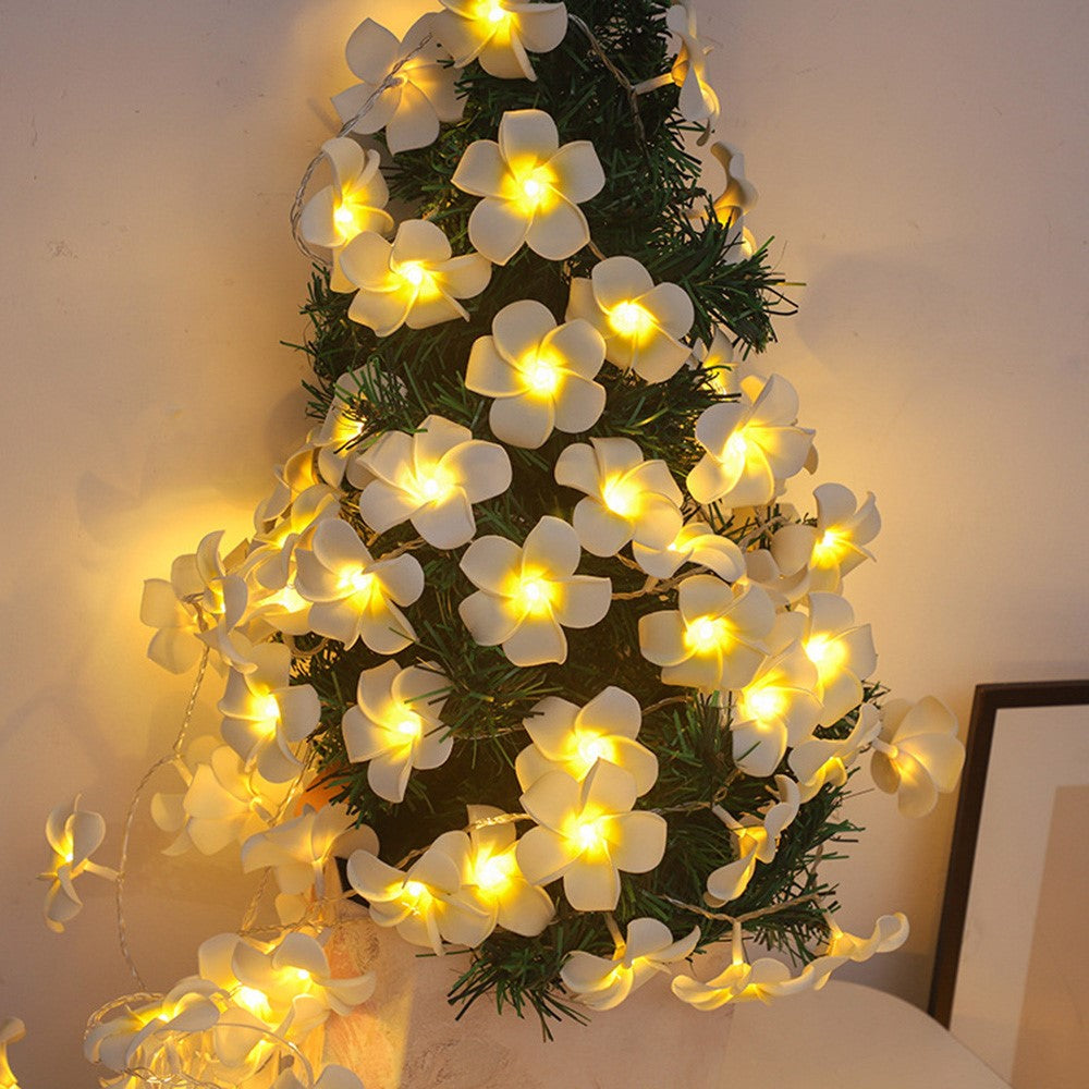 6m 40 Warm White Plumeria LED Flower String Lights USB Powered Fairy String Lights for Room Decoration Indoor Outdoor