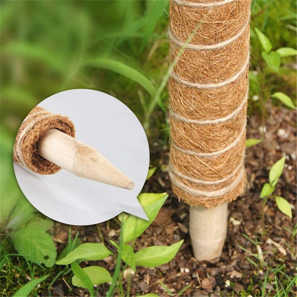 4Pcs 40cm Vine Climbing Coconut Palm Rod Plant Climbing Rod Plant Support Stick with Tools