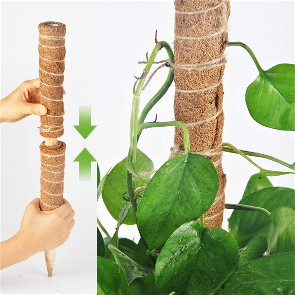4Pcs 50cm Garden Plant Support Stick Plant Climbing Rod Vine Climbing Coconut Palm Rod with Tools