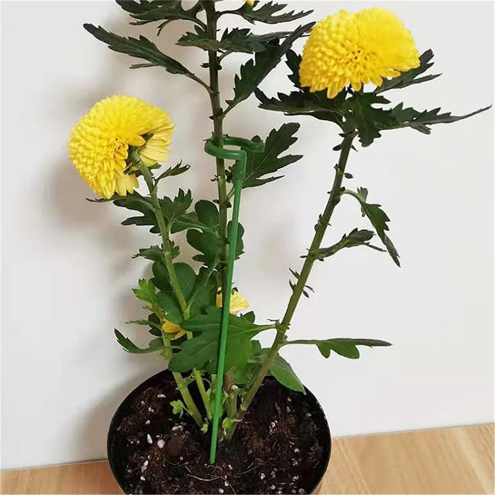 10PCS 27CM Fiberglass Plant Stake Garden Single Stem Support Stake Plant Cage Ring for Orchid Rose Tomato