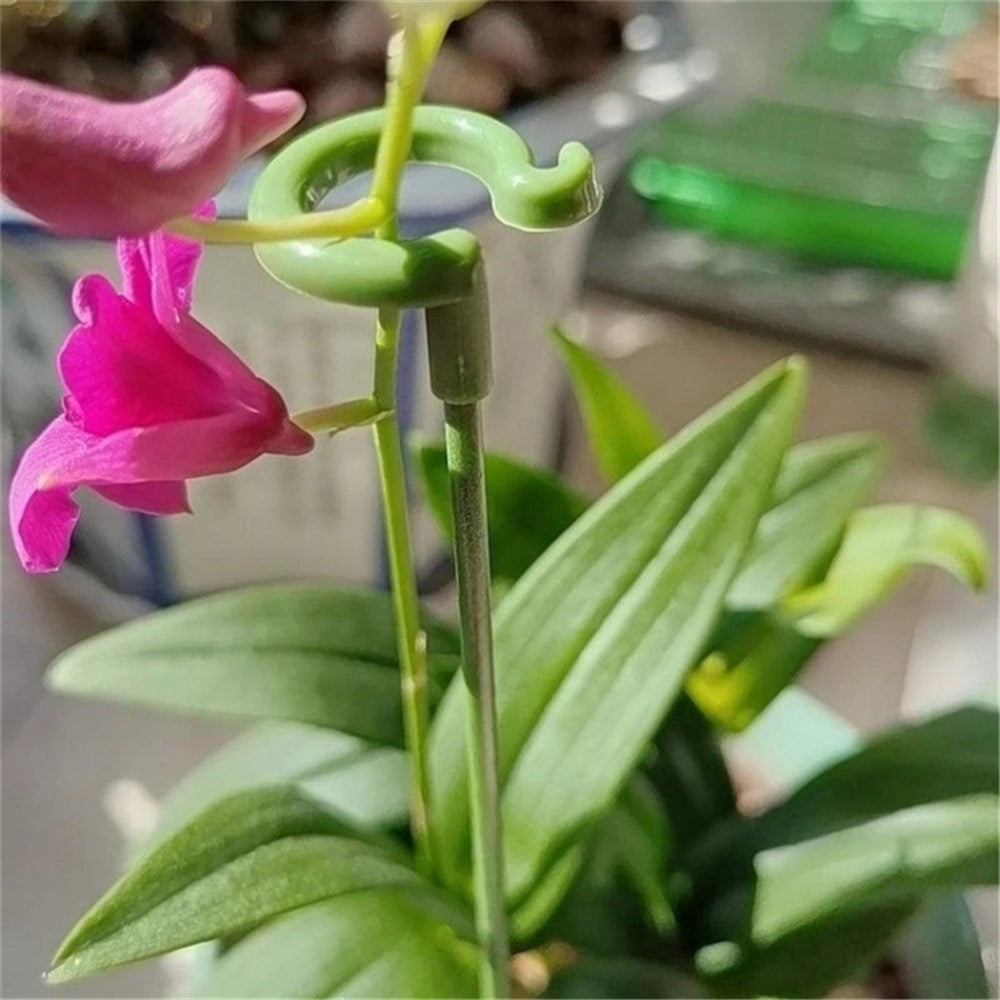 10PCS 37CM Indoors Plant Cage Ring Orchid Rose Tomato Fiberglass Stake Garden Single Stem Support Ring Stick